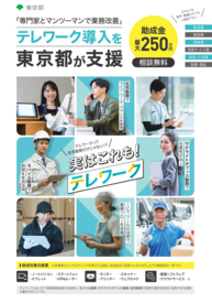 テレワーク導入ハンズオン支援コンサルティングのウェブサイトへのリンク