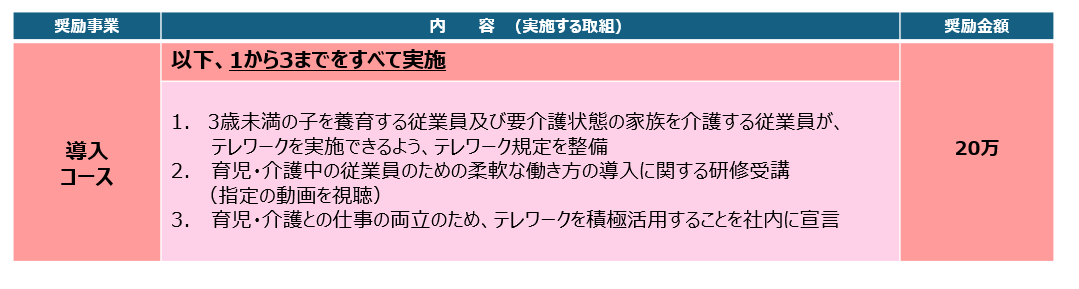 導入コース奨励内容